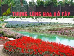 Thung lũng Hoa